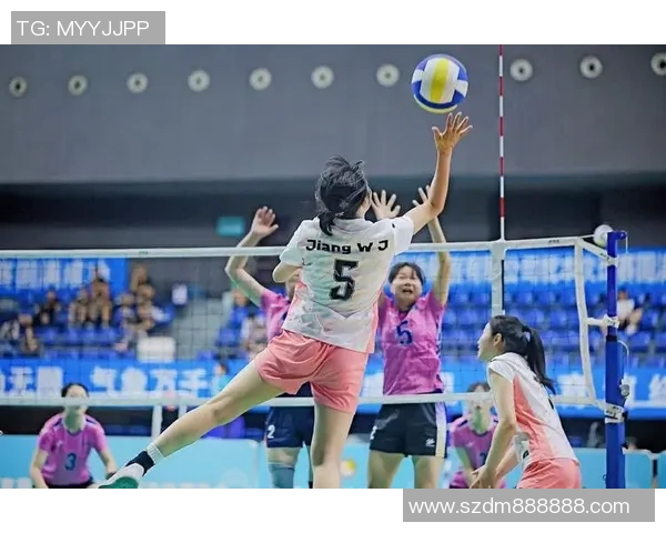 成都排球队灵活性对比分析及其对战术调整的影响探讨