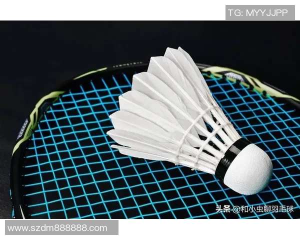 武汉羽毛球队防守策略揭秘:深度解析羽毛球技术与战术的完美结合